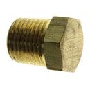 Evinrude Plug
