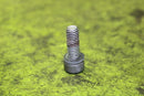 BRP Allen Screw