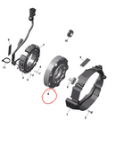 Ski-Doo Magneto Flywheel - Powersports Gear Dealer & Accessories | Banner Rec Online Shop