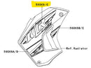 Kawasaki RH Upper Shroud Decal