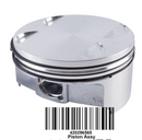 Sea-Doo Standard Piston Assembly (99.96MM) - Powersports Gear Dealer & Accessories | Banner Rec Online Shop