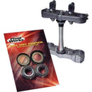 Pivot Works Steering Stem Bearing Kit - PWSSK-H05-420