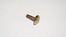 BRP Carriage Bolt