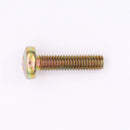BRP Phillips Screw