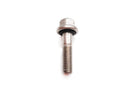 Evinrude Screw - Powersports Gear Dealer & Accessories | Banner Rec Online Shop