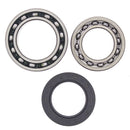 All Ball Racing Wheel Bearing Kit (25-1010) - Powersports Gear Dealer & Accessories | Banner Rec Online Shop
