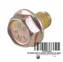 BRP Hex Flanged Screw - Powersports Gear Dealer & Accessories | Banner Rec Online Shop