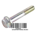 BRP Hex Flange Screw - Powersports Gear Dealer & Accessories | Banner Rec Online Shop