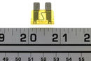 BRP Fuse 20 Amperes - Powersports Gear Dealer & Accessories | Banner Rec Online Shop