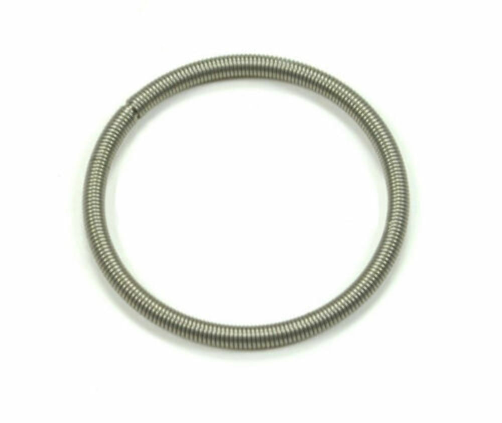 420838253 | BRP Clamp Spring