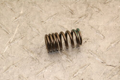 Kawasaki Exhaust Valve Spring - Banner Rec