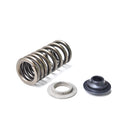 KTM Valve Spring Kit - Banner Rec