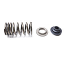 KTM Valve Spring Kit - Banner Rec