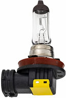 Kawasaki Bulb - Banner Rec