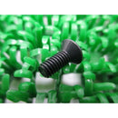 Honda Oval Screw - Banner Rec