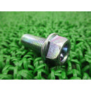 Honda Flange Bolt - Banner Rec