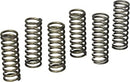 CSK90 Clutch Spring Kit - Powersports Gear Dealer & Accessories | Banner Rec Online Shop