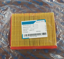 CFMoto 300 Air Filter (0DM0-110100)